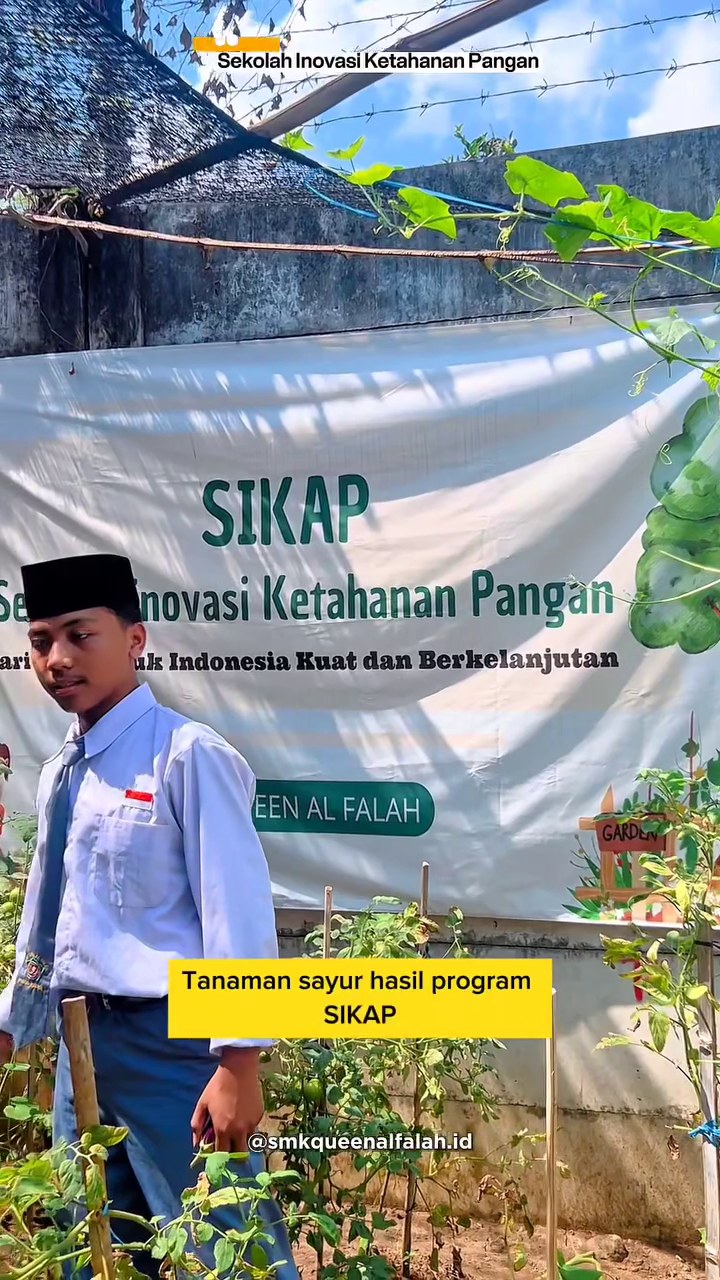 SIKAP: Merawat dan Memanen Sayuran | SMK Queen Al-Falah Kediri