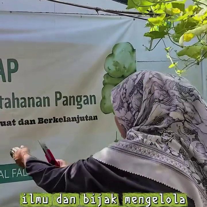 Belajar Peduli Pangan melalui Kebun Sekolah | SMK Queen Al-Falah Kediri